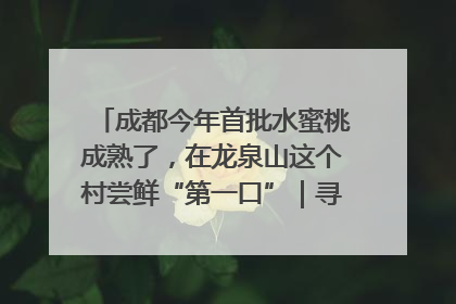 成都今年首批水蜜桃成熟了，在龙泉山这个村尝鲜“第一口”｜寻找和美乡村推荐官