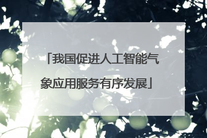 我国促进人工智能气象应用服务有序发展