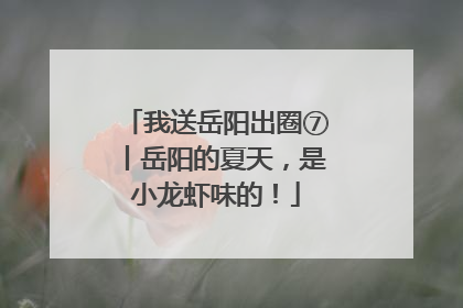 我送岳阳出圈⑦丨岳阳的夏天，是小龙虾味的！
