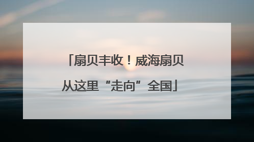 扇贝丰收！威海扇贝从这里“走向”全国