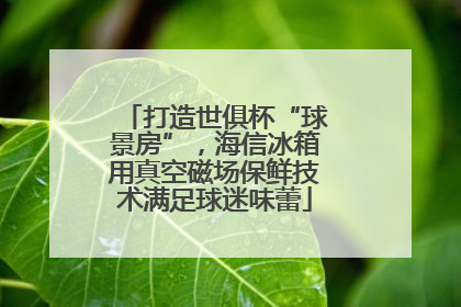 打造世俱杯“球景房”，海信冰箱用真空磁场保鲜技术满足球迷味蕾