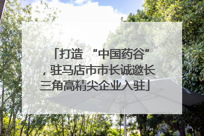 打造 “中国药谷”，驻马店市市长诚邀长三角高精尖企业入驻