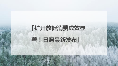 扩开放促消费成效显著！日照最新发布