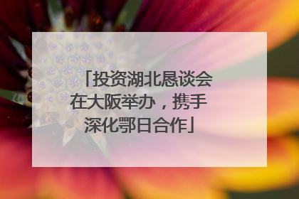 投资湖北恳谈会在大阪举办，携手深化鄂日合作