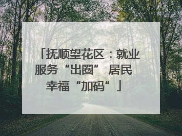 抚顺望花区：就业服务“出圈” 居民幸福“加码”