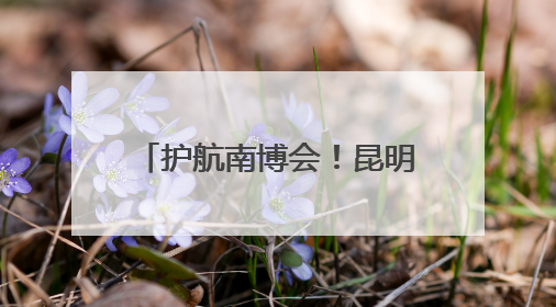 护航南博会！昆明城管坚守展馆守护文明有序交易环境