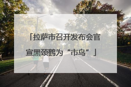 拉萨市召开发布会官宣黑颈鹤为“市鸟”