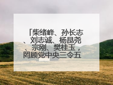 柴绪峰、孙长志、刘志诚、杨昆尧、宗刚、樊桂玉，罔顾党中央三令五申，不知敬畏、我行我素、肆意妄为！
