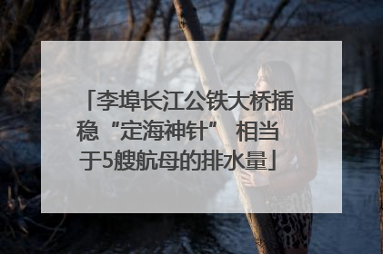 李埠长江公铁大桥插稳“定海神针” 相当于5艘航母的排水量