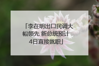 李在明出口民调大幅领先 新总统预计4日直接就职