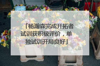 杨瀚森完成开拓者试训获积极评价，单独试训开局良好