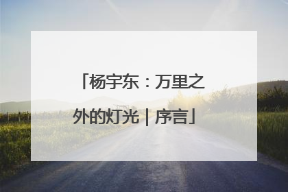 杨宇东：万里之外的灯光｜序言