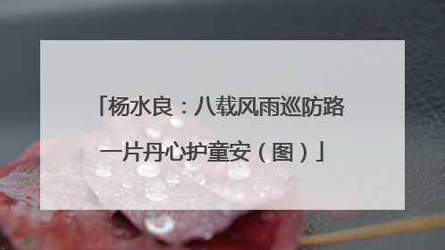 杨水良：八载风雨巡防路 一片丹心护童安（图）
