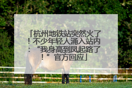杭州地铁站突然火了！不少年轻人涌入站内：“我身高到凤起路了！”官方回应