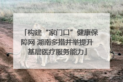构建“家门口”健康保障网 湖南多措并举提升基层医疗服务能力