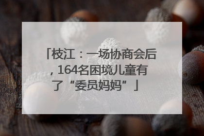 枝江：一场协商会后，164名困境儿童有了“委员妈妈”
