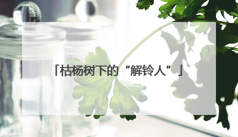 枯杨树下的“解铃人”