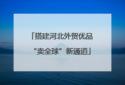 搭建河北外贸优品“卖全球”新通道