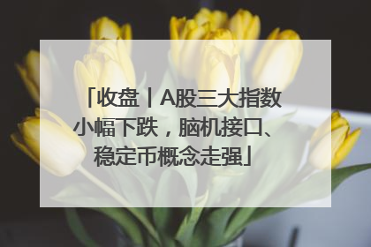 收盘丨A股三大指数小幅下跌，脑机接口、稳定币概念走强