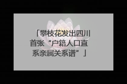 攀枝花发出四川首张“户籍人口直系亲属关系谱”