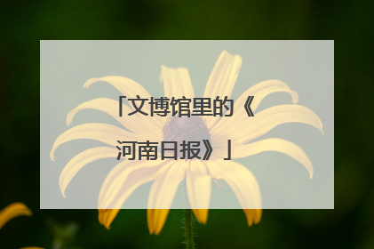 文博馆里的《河南日报》