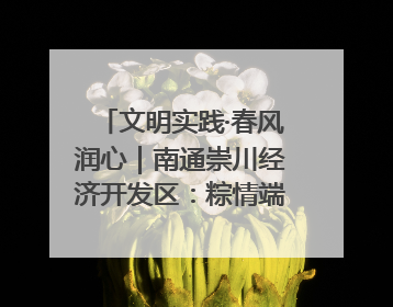 文明实践·春风润心｜南通崇川经济开发区：粽情端午，童趣传承