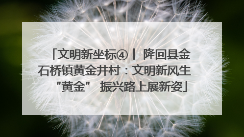 文明新坐标④丨 隆回县金石桥镇黄金井村：文明新风生“黄金” 振兴路上展新姿