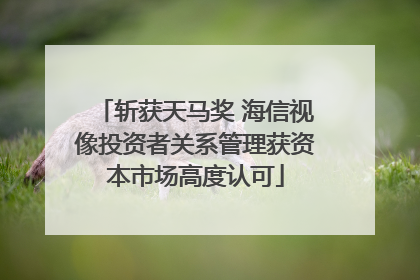 斩获天马奖 海信视像投资者关系管理获资本市场高度认可