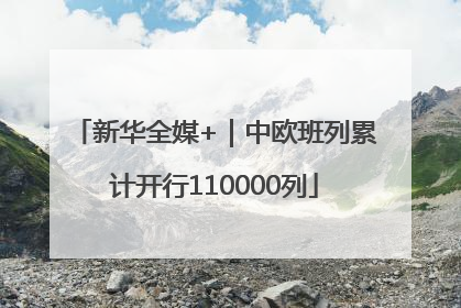 新华全媒+｜中欧班列累计开行110000列