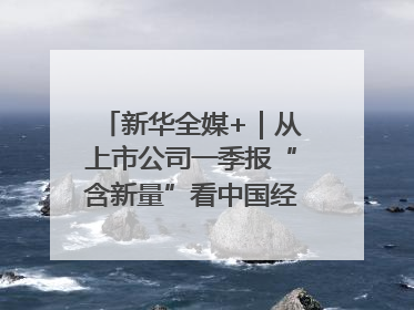 新华全媒+｜从上市公司一季报“含新量”看中国经济发展向“新”