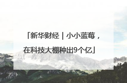 新华财经｜小小蓝莓，在科技大棚种出9个亿