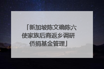 新加坡陈文确陈六使家族后裔返乡调研侨捐基金管理