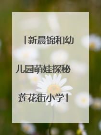新晨锦和幼儿园萌娃探秘莲花街小学