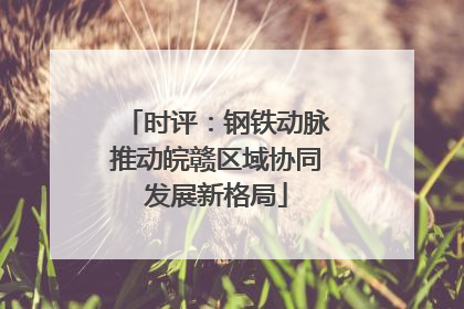 时评：钢铁动脉推动皖赣区域协同发展新格局