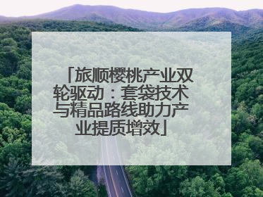 旅顺樱桃产业双轮驱动：套袋技术与精品路线助力产业提质增效