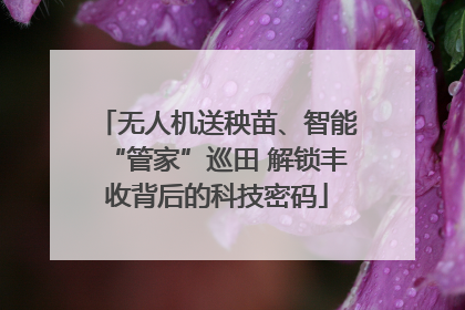 无人机送秧苗、智能“管家”巡田 解锁丰收背后的科技密码