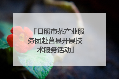 日照市茶产业服务团赴莒县开展技术服务活动
