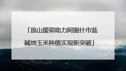 昆山援疆助力阿图什市盐碱地玉米种植实现新突破