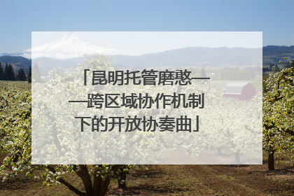 昆明托管磨憨——跨区域协作机制下的开放协奏曲