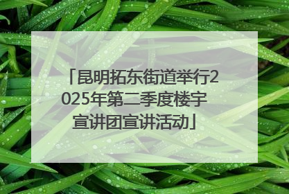 昆明拓东街道举行2025年第二季度楼宇宣讲团宣讲活动