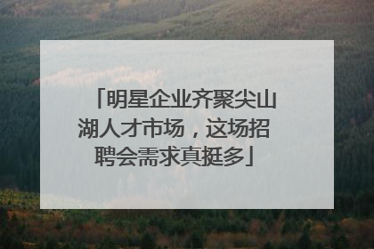 明星企业齐聚尖山湖人才市场，这场招聘会需求真挺多