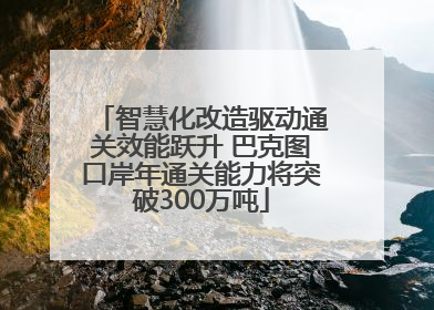智慧化改造驱动通关效能跃升 巴克图口岸年通关能力将突破300万吨
