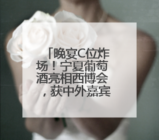 晚宴C位炸场！宁夏葡萄酒亮相西博会，获中外嘉宾好评！