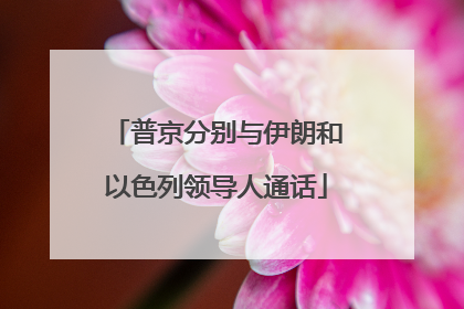 普京分别与伊朗和以色列领导人通话