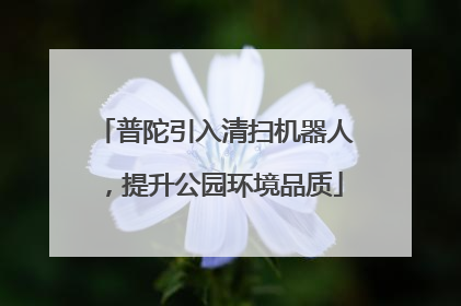 普陀引入清扫机器人，提升公园环境品质