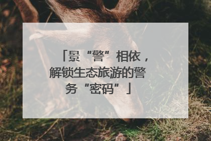 景“警”相依，解锁生态旅游的警务“密码”