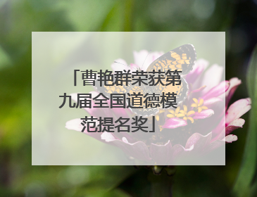 曹艳群荣获第九届全国道德模范提名奖