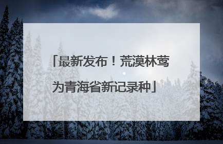 最新发布！荒漠林莺为青海省新记录种