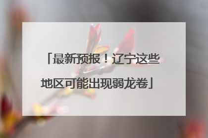 最新预报！辽宁这些地区可能出现弱龙卷