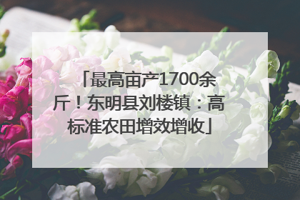 最高亩产1700余斤！东明县刘楼镇：高标准农田增效增收